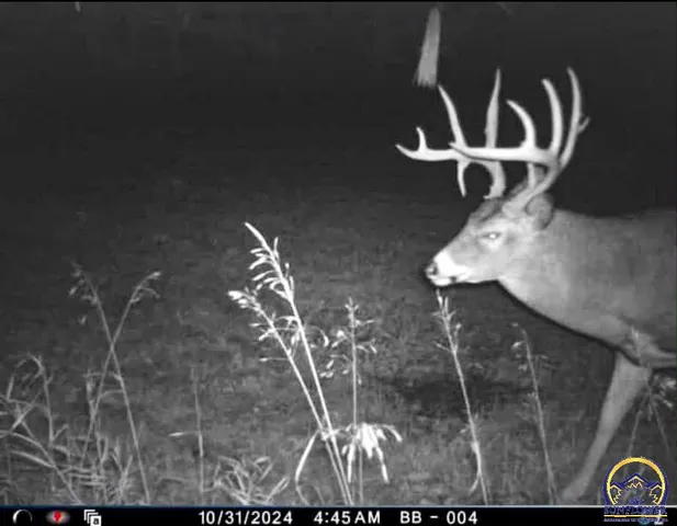 $184,485 | 2154 Road 300, Reading, KS 66868