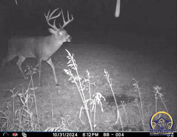 $184,485 | 2154 Road 300, Reading, KS 66868