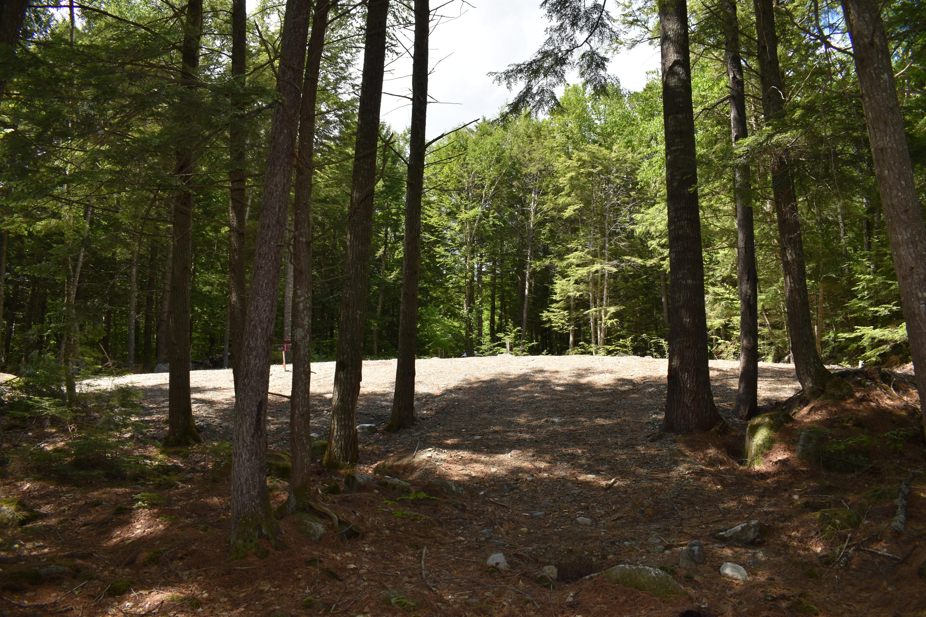 1800 Houston Road Lincoln, ME 04457 - Photo 8 of 26 DSC_0286
