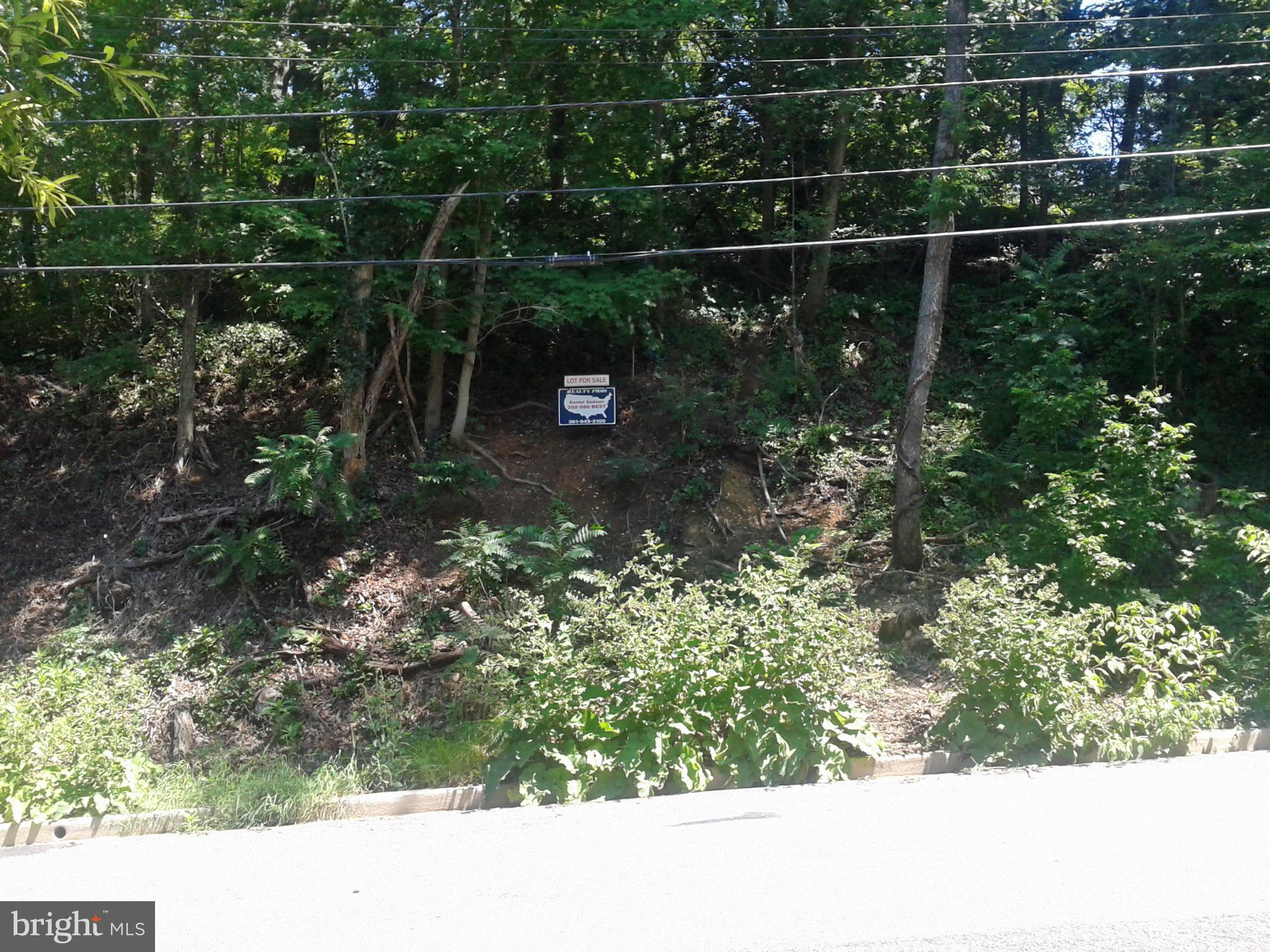 S Street Southeast Washington, DC 20020 - Photo 1 of 4 a view of a yard