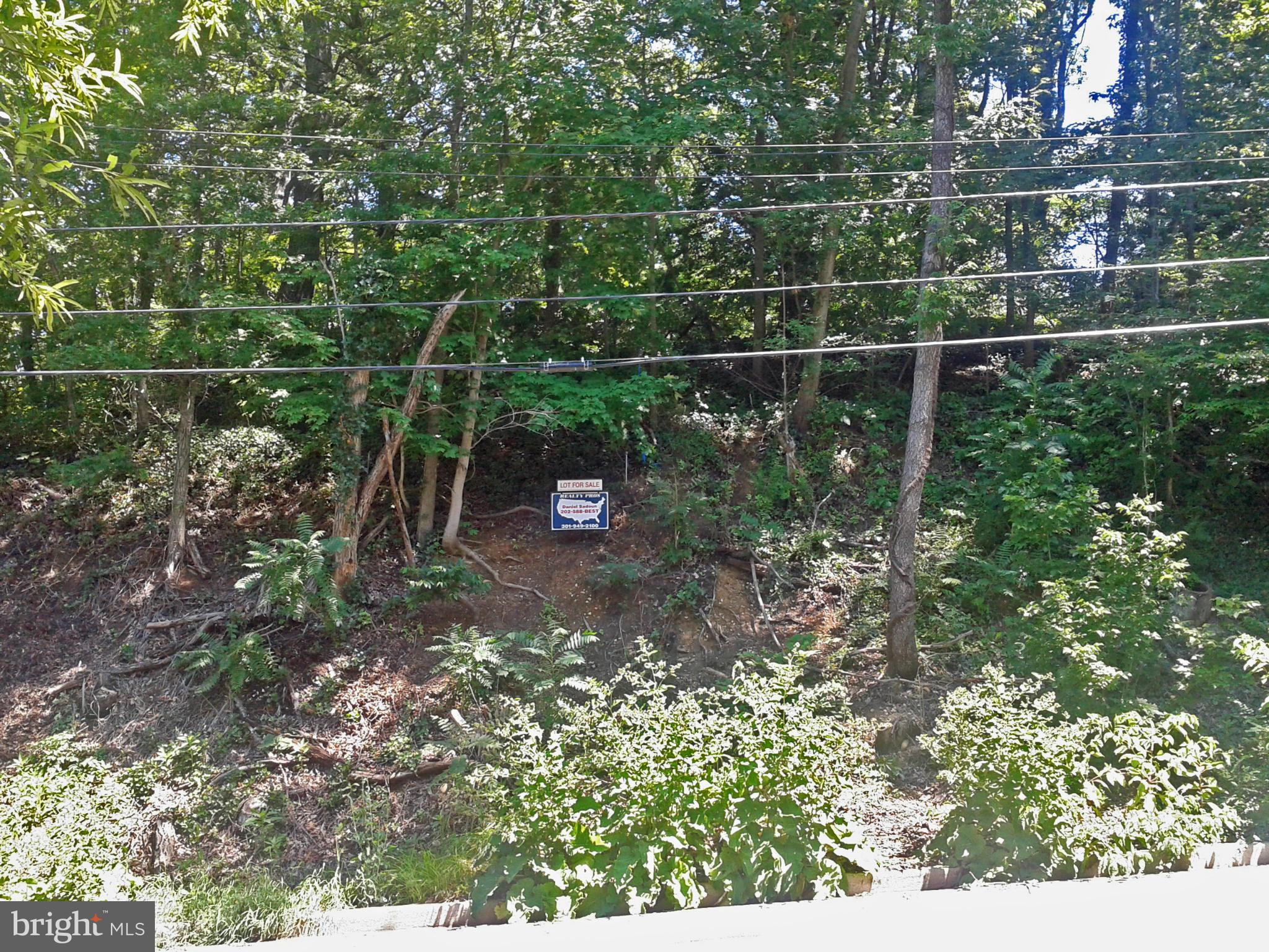 S Street Southeast Washington, DC 20020 - Photo 2 of 4 a view of a yard with a tree