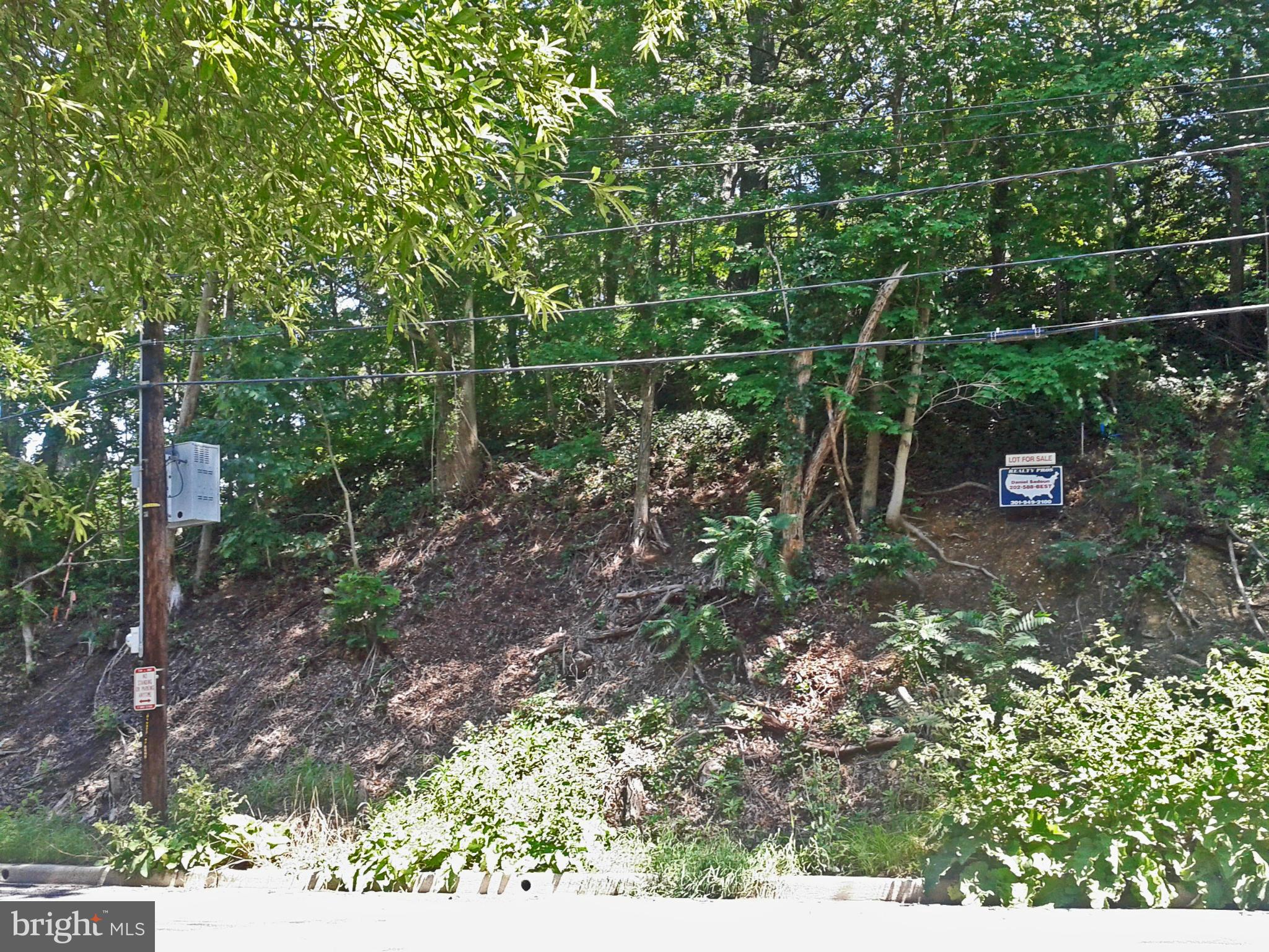 S Street Southeast Washington, DC 20020 - Photo 4 of 4 a backyard of a house with lots of green space