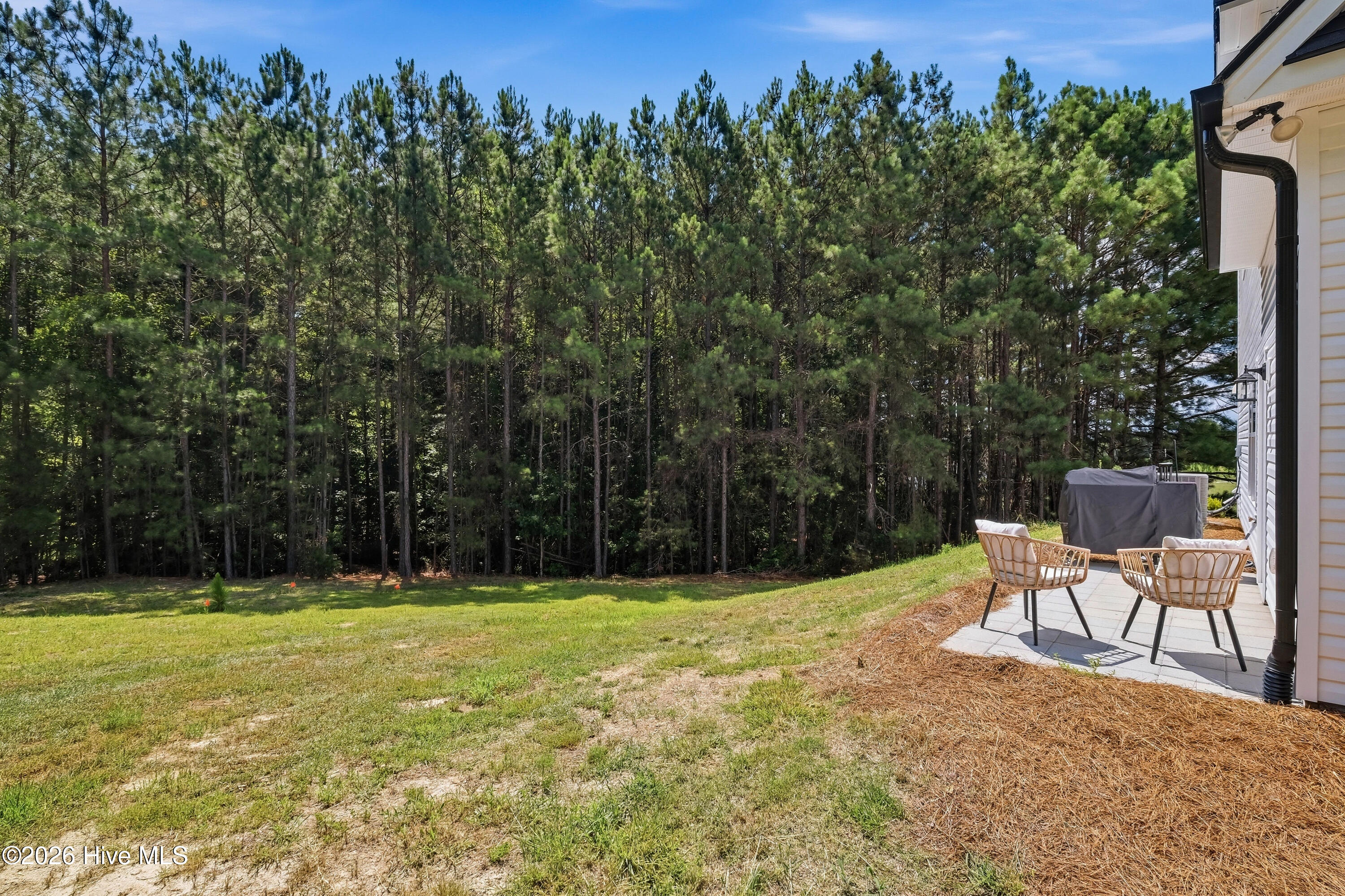 595 Bryant Road Carthage, NC 28327 - Photo 27 of 29