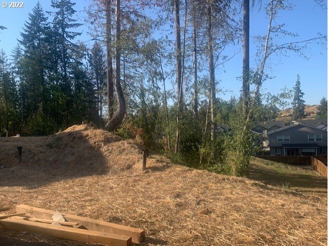 4232 South Cloverhill Way Ridgefield, WA 98642 - Photo 30 of 30 a view of a yard with trees