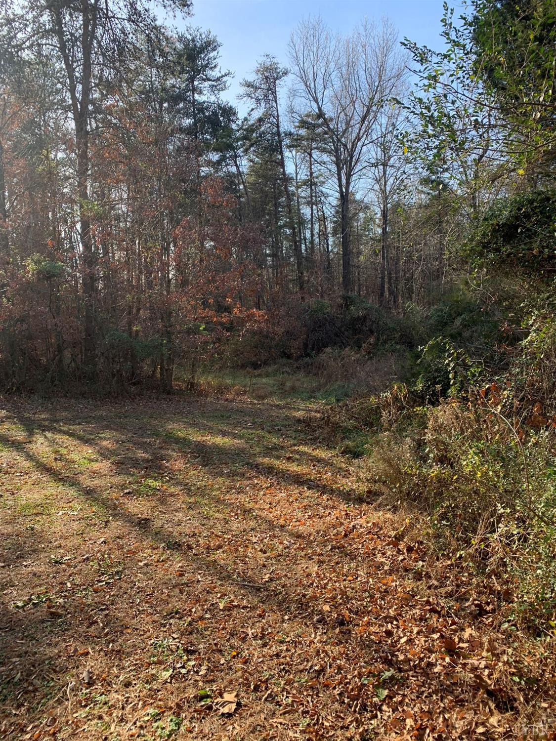 1740 Scuffletown Road Randolph, VA 23962 - Photo 18 of 24 Gallery Image 18