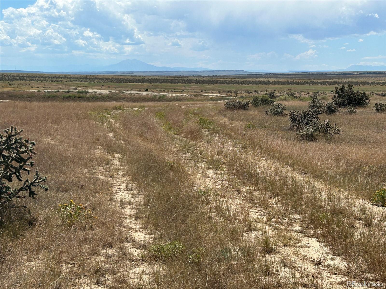 Lot 4 Outback Ranch Model, CO 81059 - Photo 7 of 20