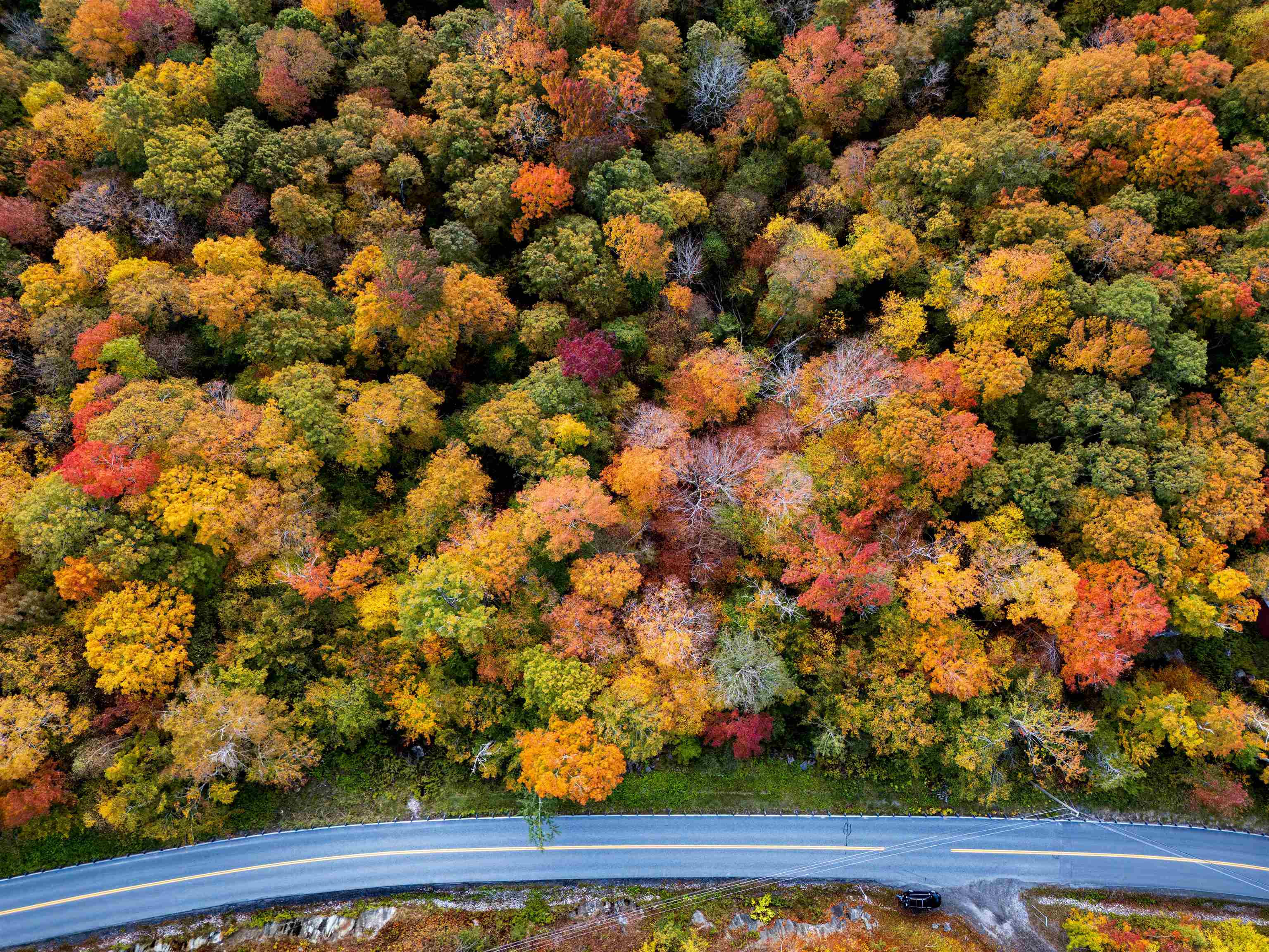 0 East Mountain Road Killington, VT 05751 - Photo 11 of 11