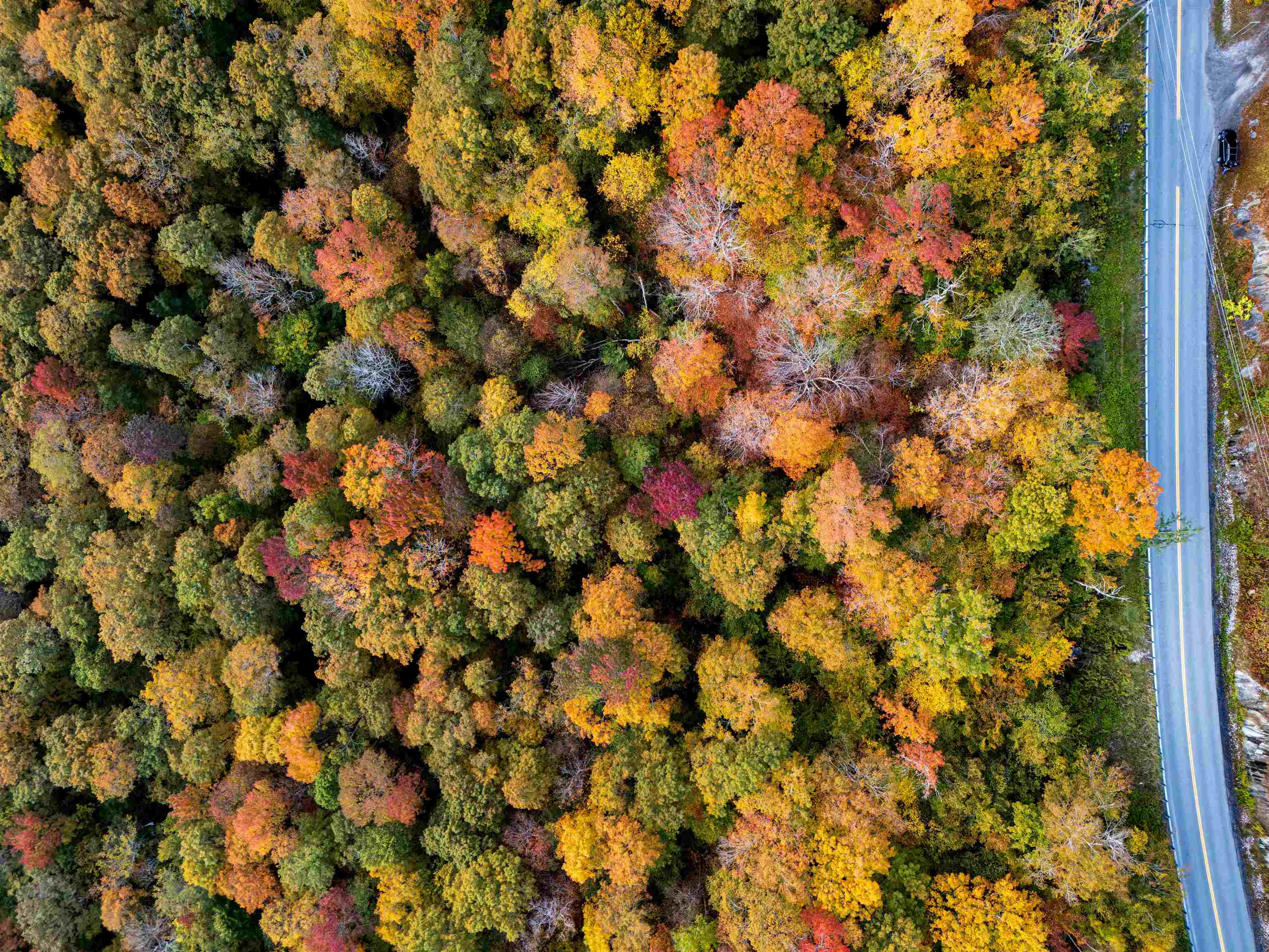 0 East Mountain Road Killington, VT 05751 - Photo 5 of 11