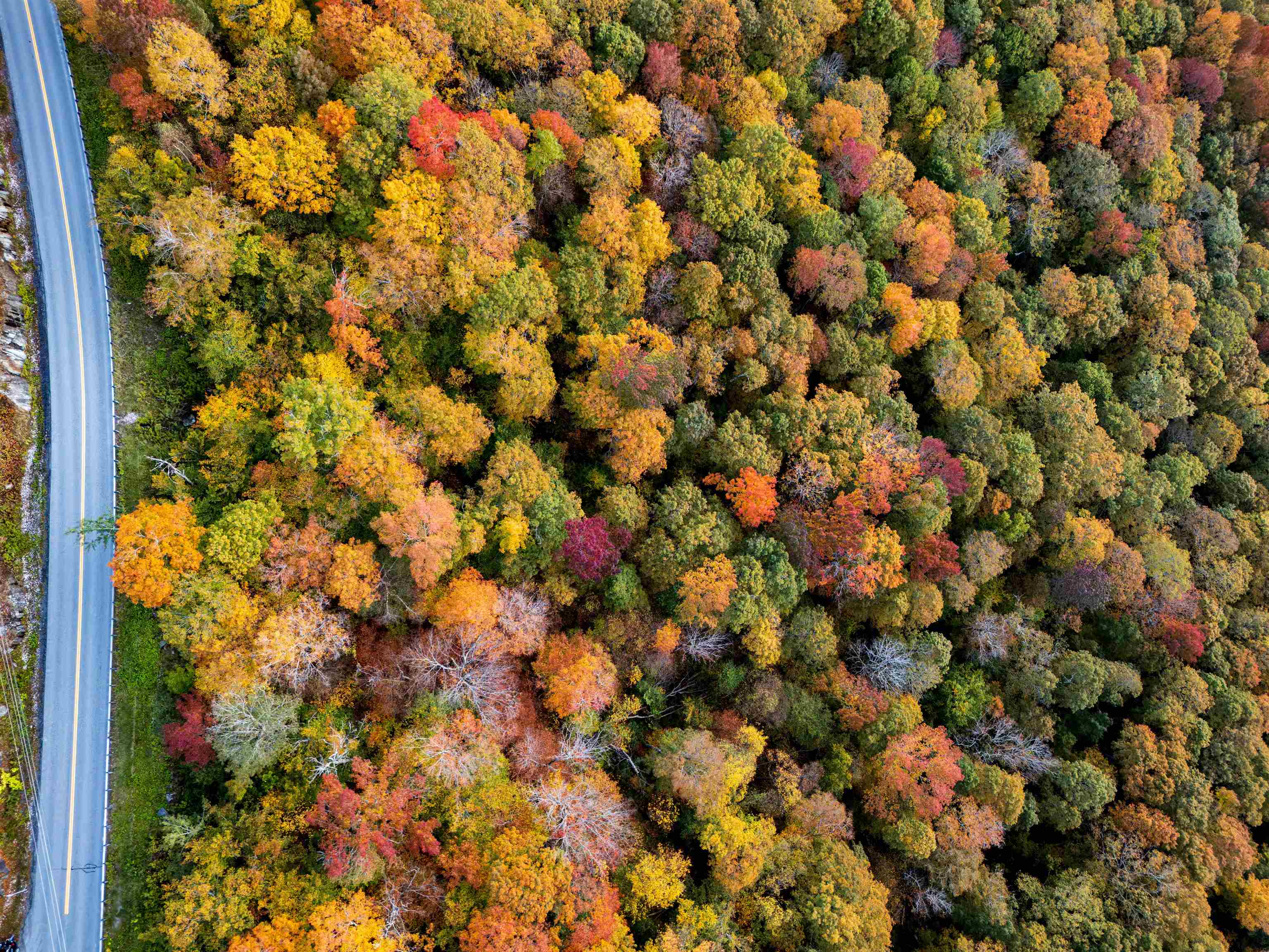 0 East Mountain Road Killington, VT 05751 - Photo 7 of 11