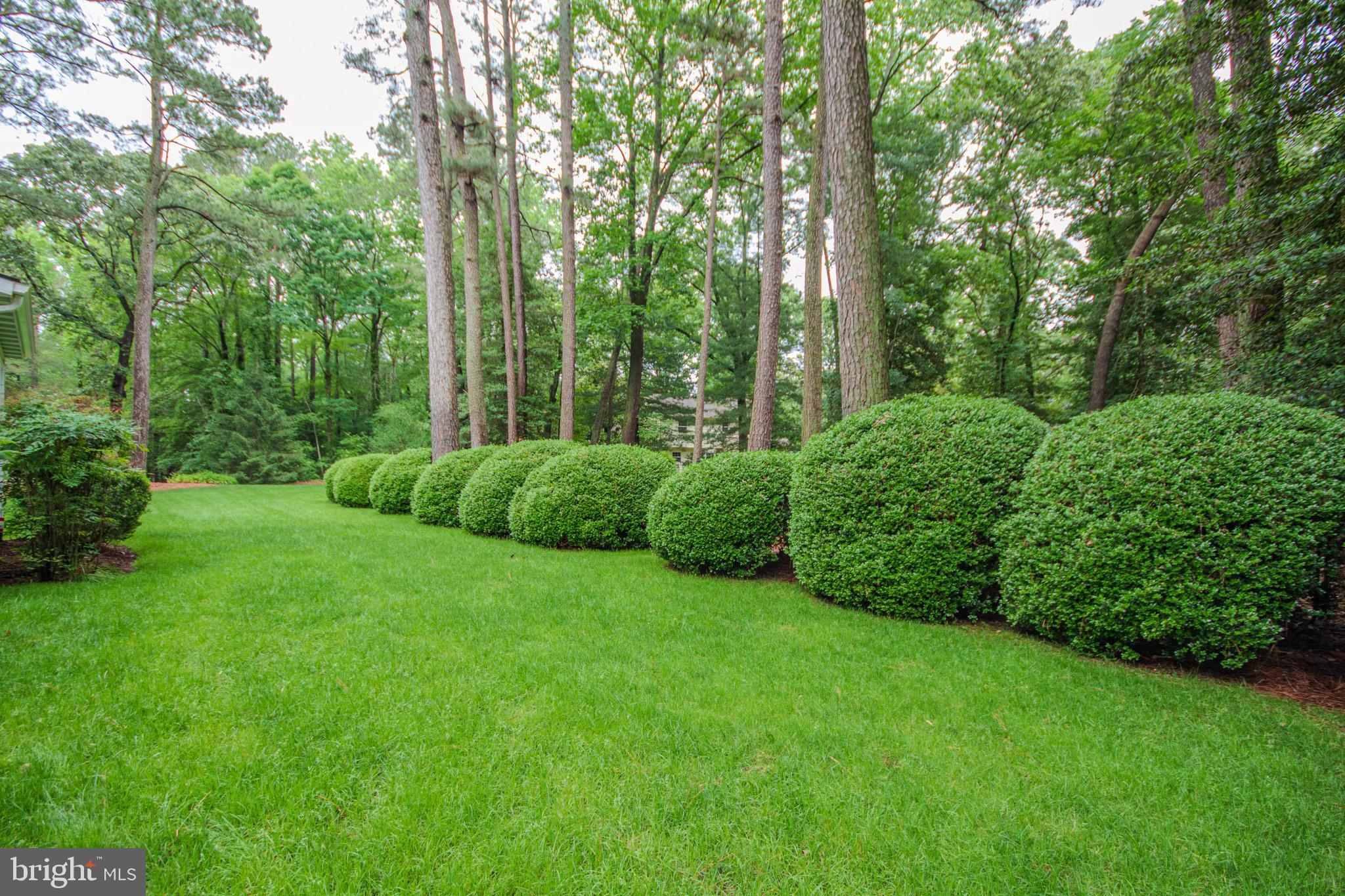 29745 Jackson Road Salisbury, MD 21804 - Photo 56 of 77 Beautifully landscaped yard