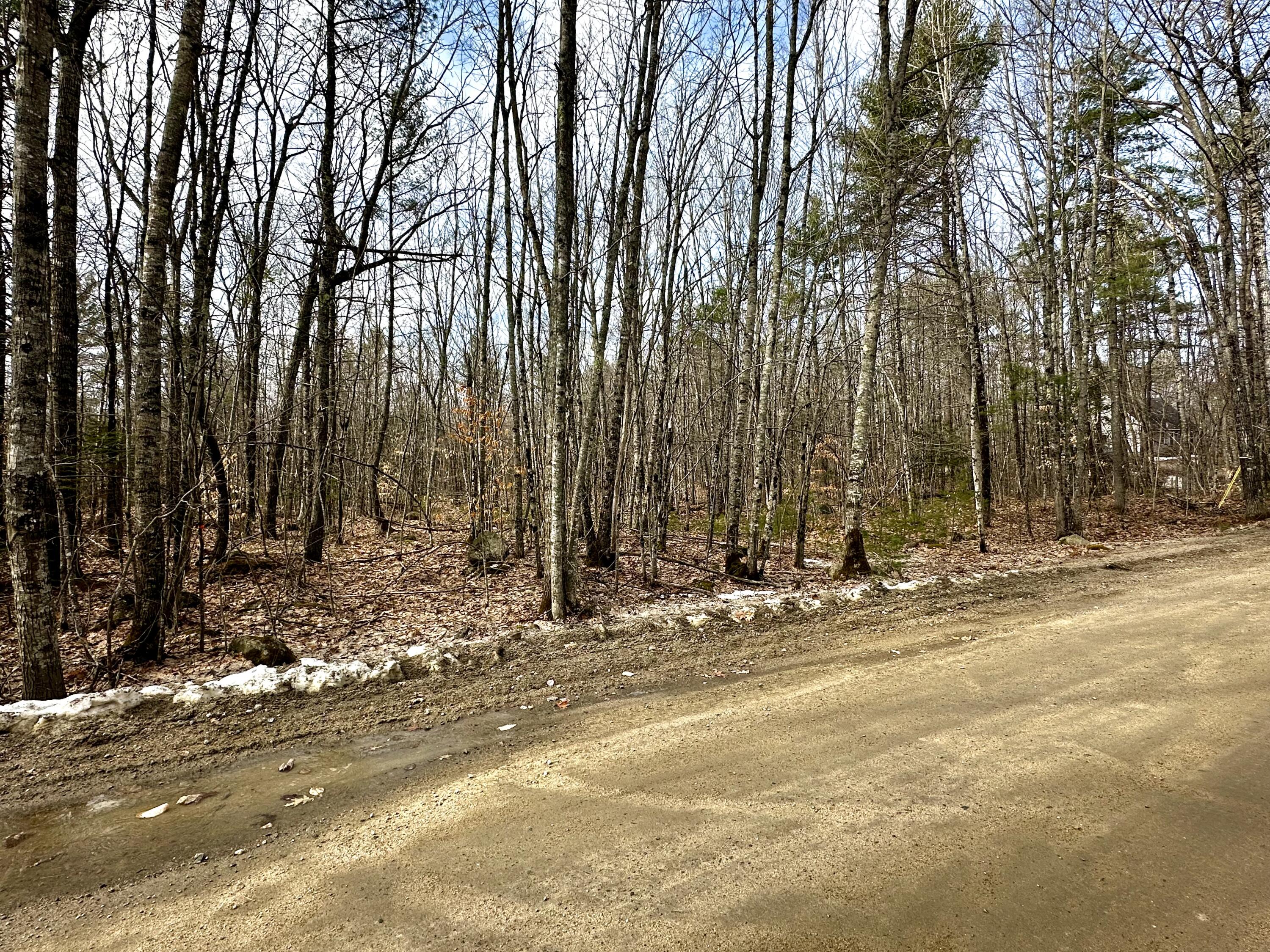 332 Folly Road Sebago, ME 04029 - Photo 5 of 5 IMG_3882