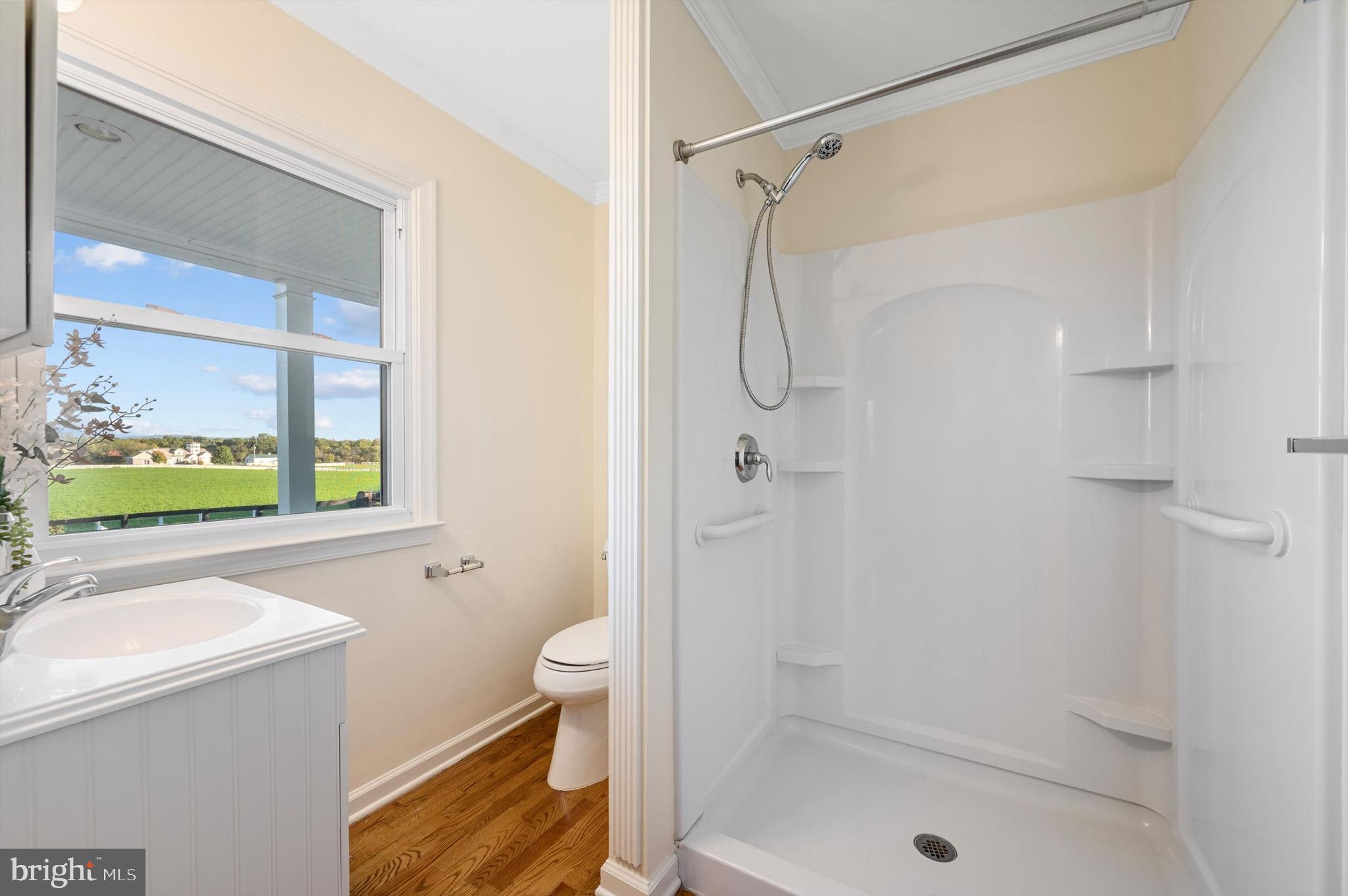 2801 Salem Church Road Berryville, VA 22611 - Photo 32 of 68 Main Level Full Bath 3 with Shower