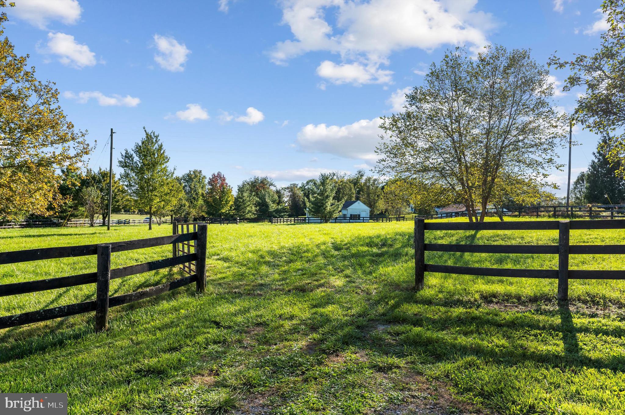 2801 Salem Church Road Berryville, VA 22611 - Photo 56 of 68 a view of a park with large trees