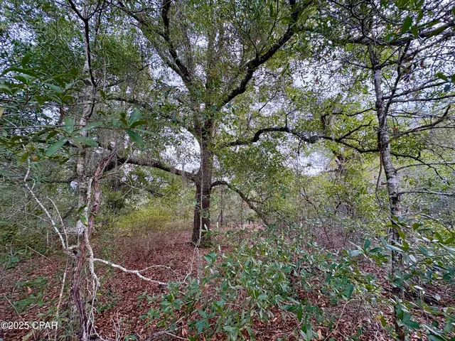 $16,900 | Lot 14 Sadorus Avenue, Alford, FL 32420