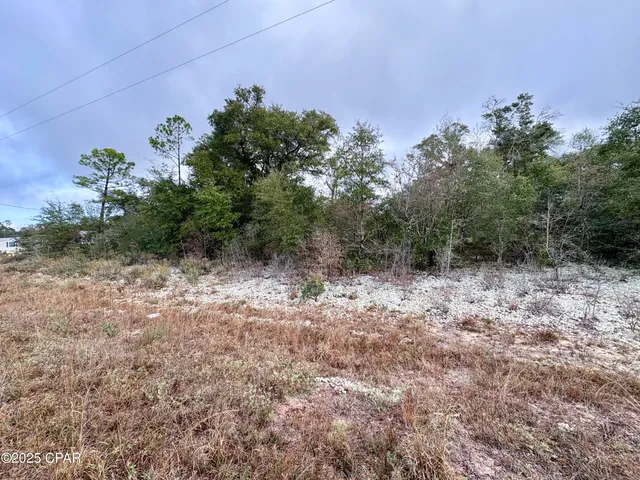 $16,900 | Lot 14 Sadorus Avenue, Alford, FL 32420