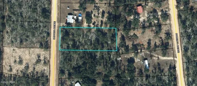 $16,900 | Lot 14 Sadorus Avenue, Alford, FL 32420