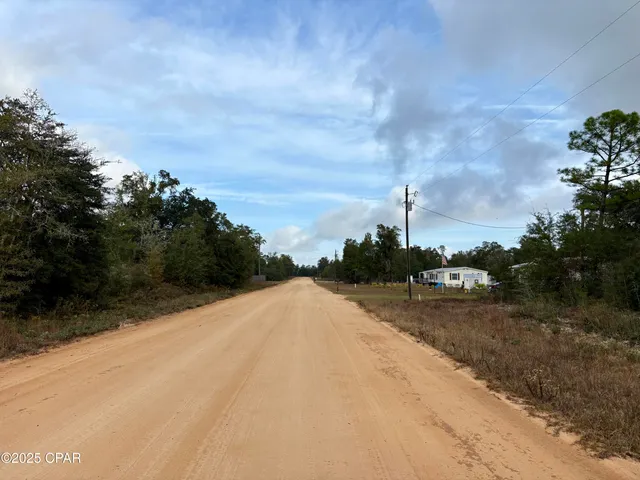 $16,900 | Lot 14 Sadorus Avenue, Alford, FL 32420