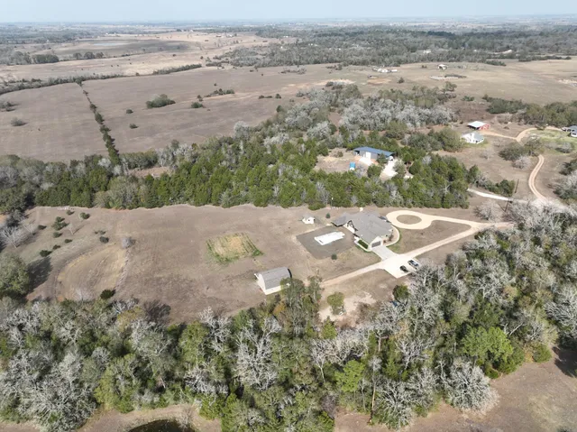 a picture of a plant