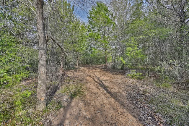 an aerial view of a yard