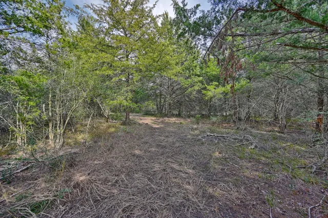 $525,000 | 771 Wallflower Lane, Bellville, TX 77418