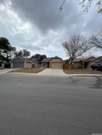 a street view with large trees