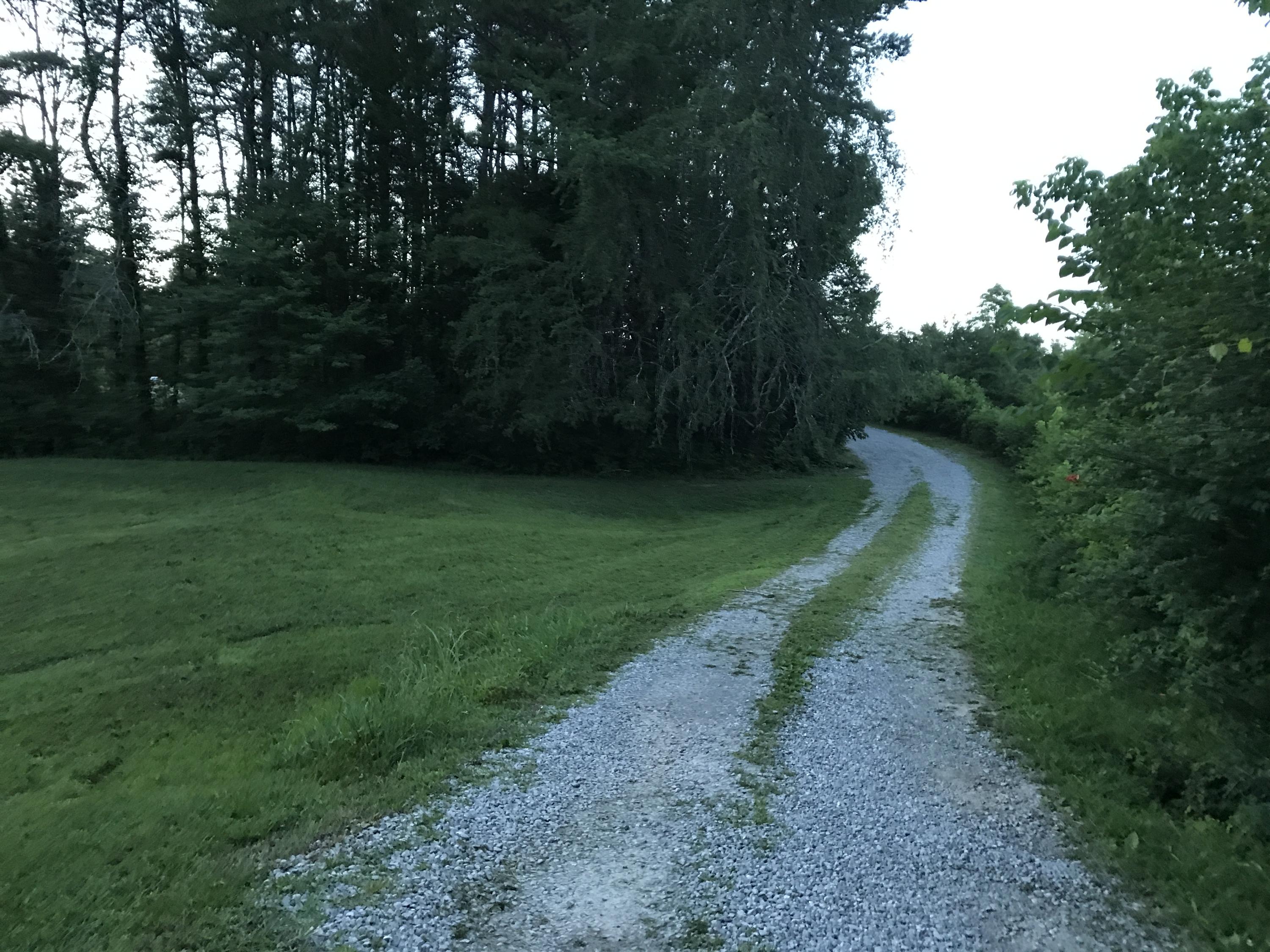 6117 Perry Road Knoxville, TN 37914 - Photo 39 of 40 Driveway-Can't see home from road