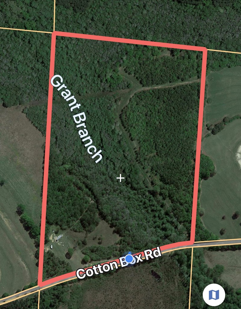 4151 Cotton Box Road Slocomb, AL 36375 - Photo 2 of 17
