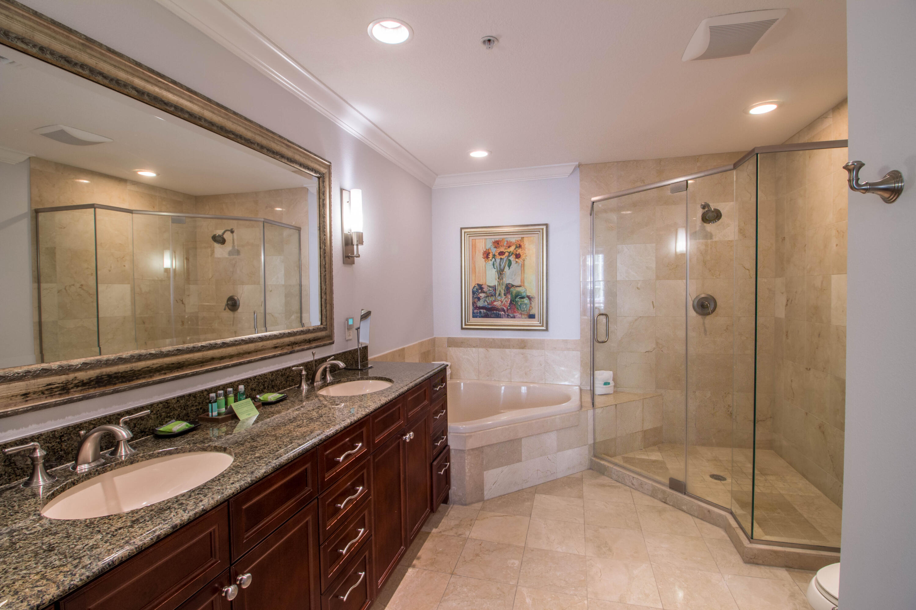 10 Harbor Boulevard, Unit E802C Destin, FL 32541 - Photo 10 of 24 a bathroom with a granite countertop double vanity sink mirror double shower and a bathtub