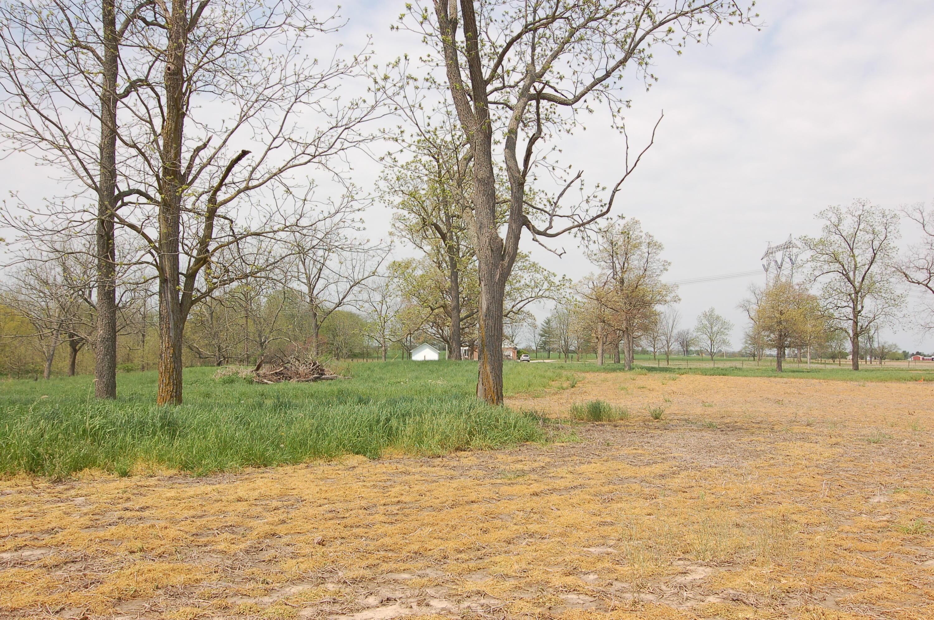 0 Rosedale-plain Rosedale-Plain City Road, Unit TRACT 2 Irwin, OH 43029 - Photo 25 of 29 View West from the Home Site