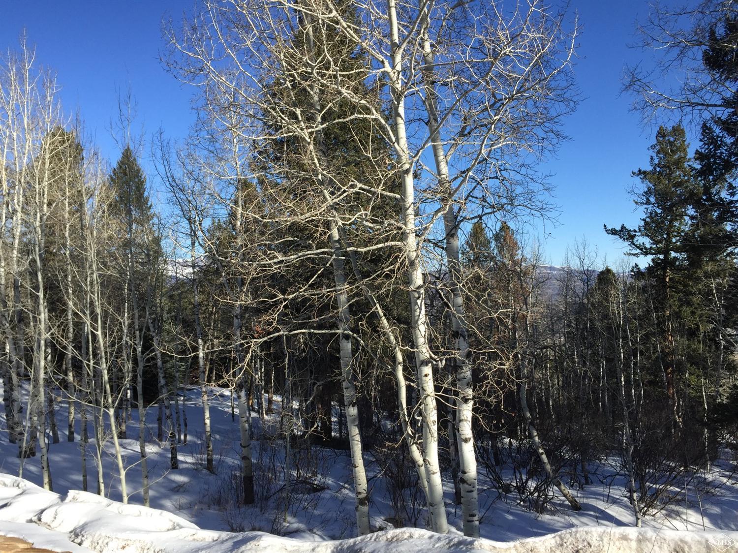 2749 Bellyache Ridge Road Wolcott, CO 81655 - Photo 1 of 1 Primary Photo