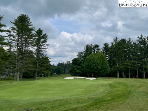 175 Ash Loop Newland, NC 28657 - Photo 41 of 46 a view of a grassy field