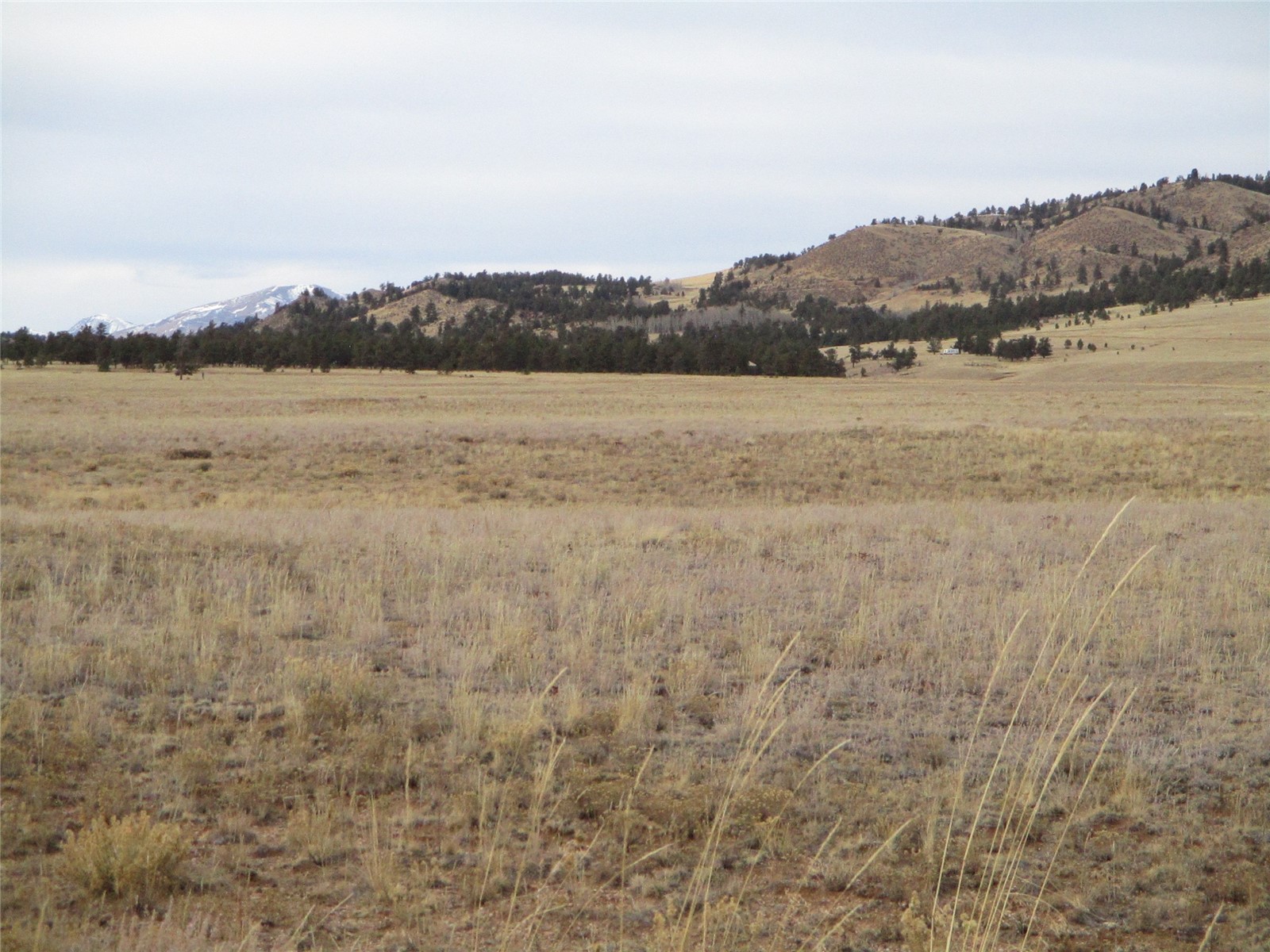729 Mesa Road Hartsel, CO 80449 - Photo 1 of 11 Gallery Image 1