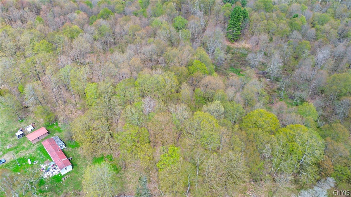 4886 West Ava Road, Unit 204 Ava, NY 13471 - Photo 11 of 13