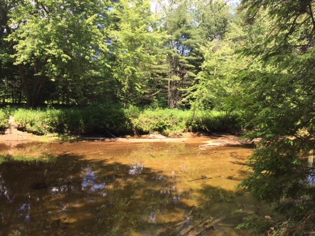 211 Newman Drew Road Ossipee, NH 03814 - Photo 10 of 18 Gallery Image 10