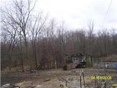 1900 Hall Road Hastings, MI 49058 - Photo 3 of 3 Additional Photo