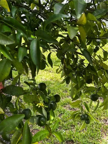 $144,800 | 25 Jefferson Street, Hoboken, GA 31542