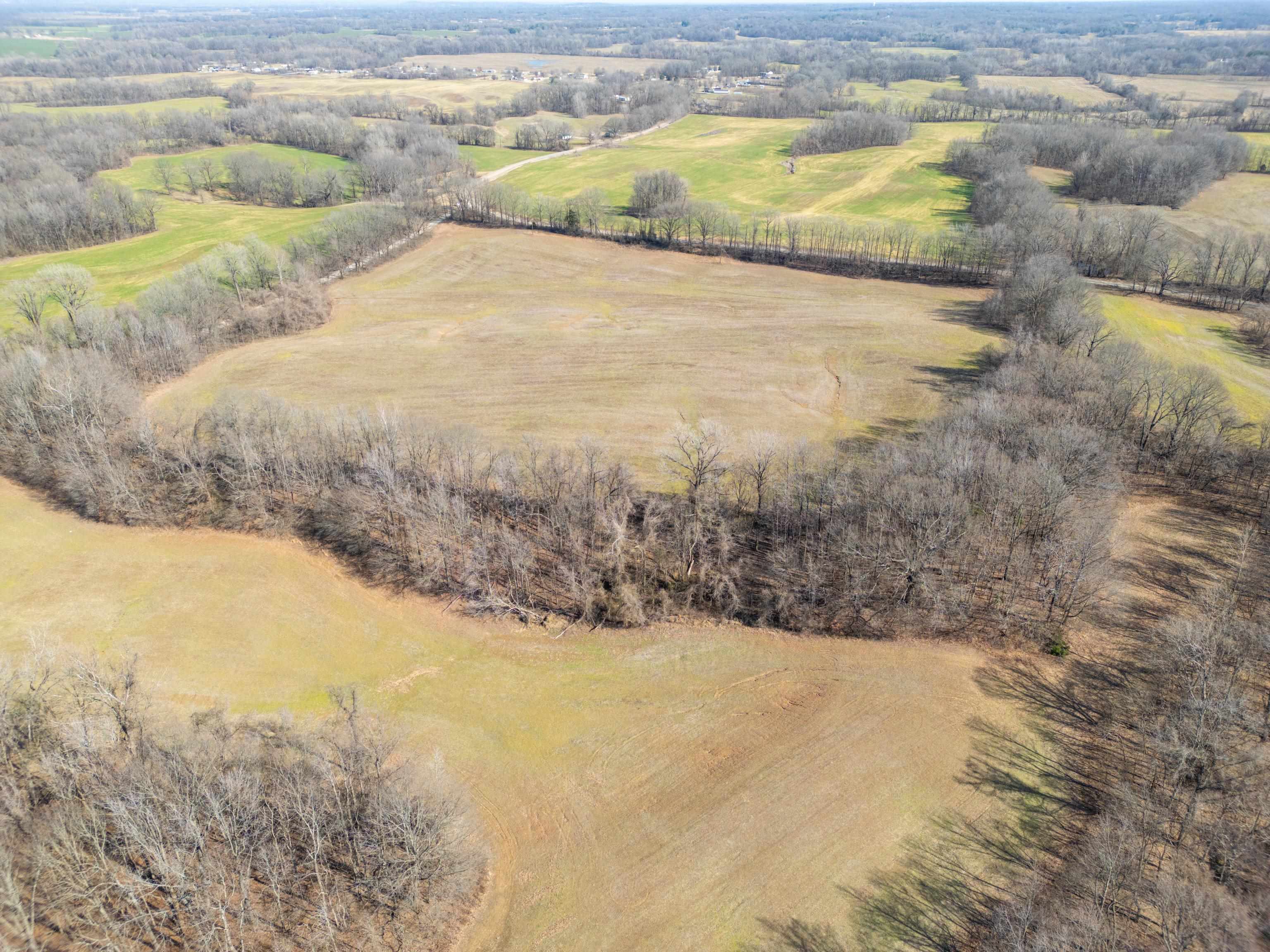 Detroit Road Burlison, TN 38015 - Photo 1 of 17 Gallery Image 1