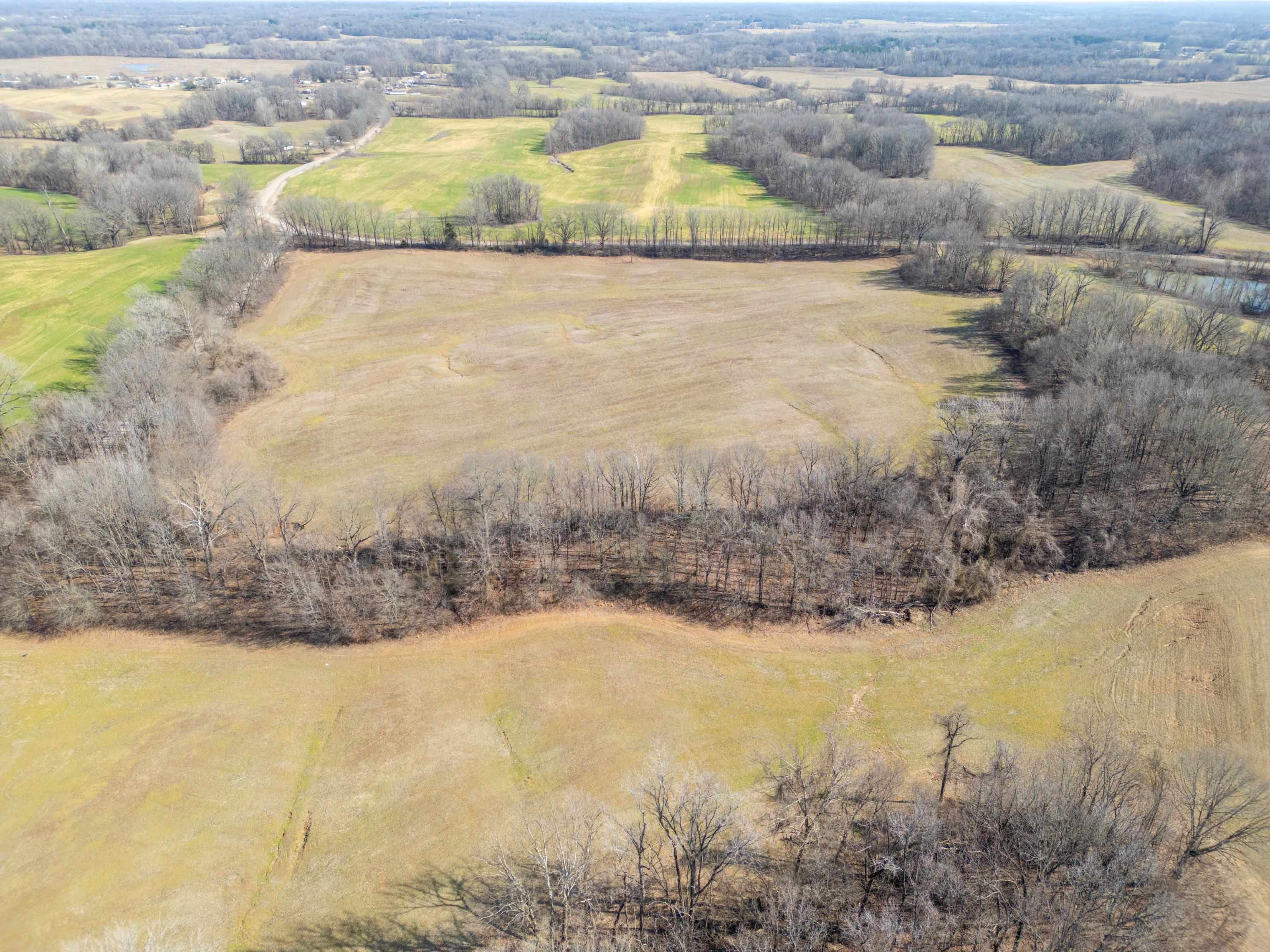 Detroit Road Burlison, TN 38015 - Photo 13 of 17 Gallery Image 13