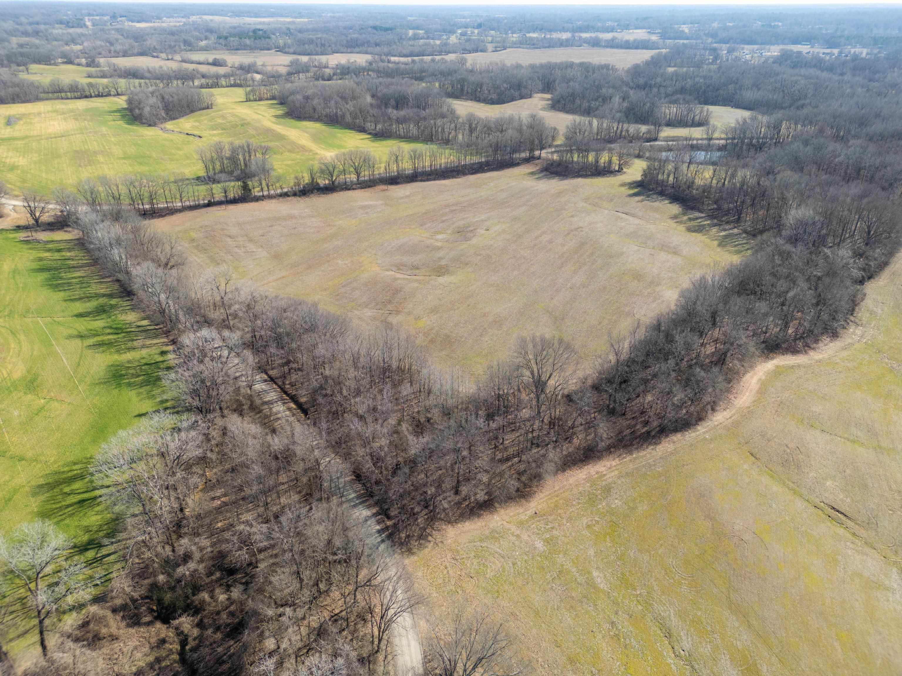 Detroit Road Burlison, TN 38015 - Photo 14 of 17 Gallery Image 14