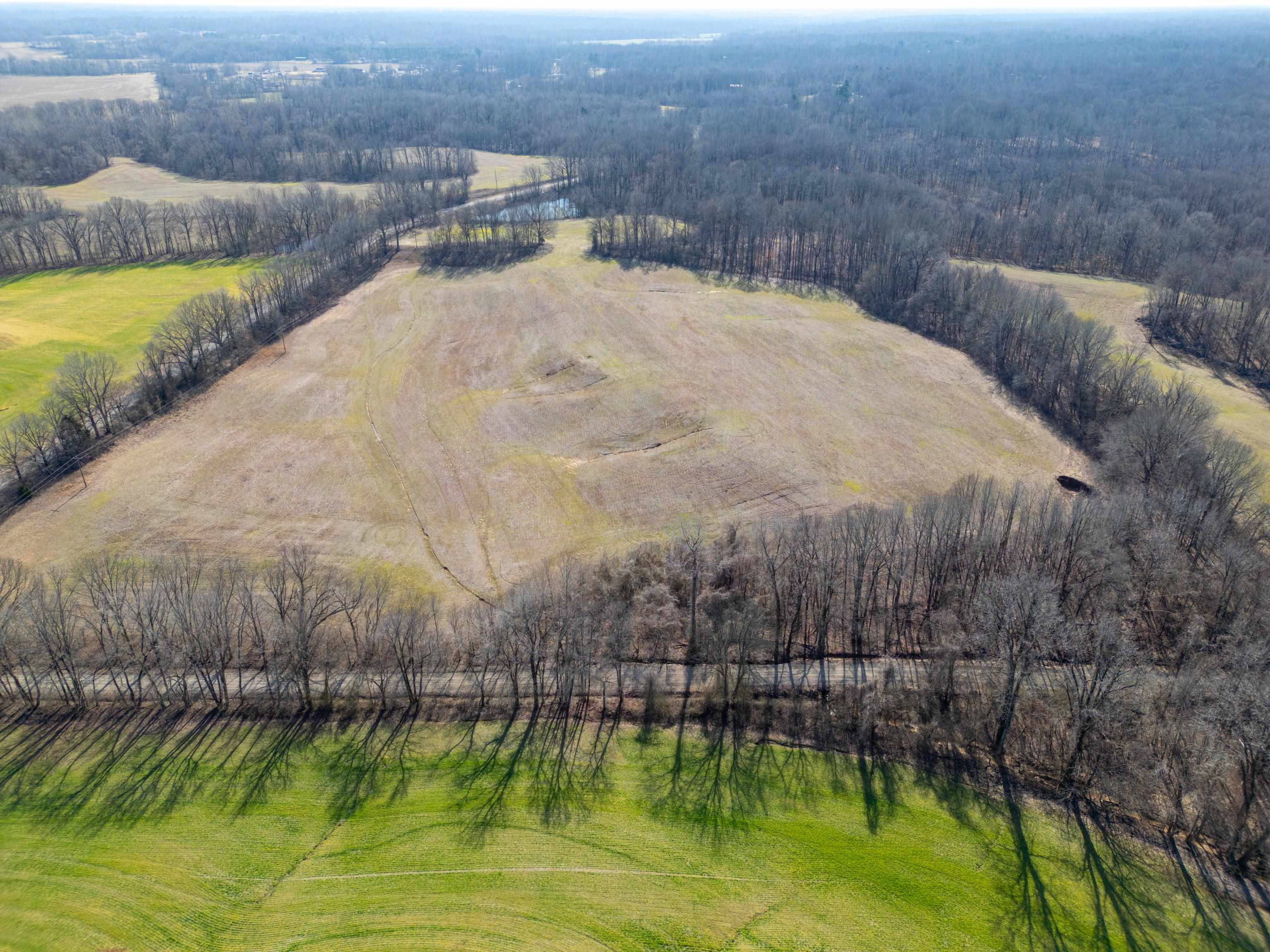 Detroit Road Burlison, TN 38015 - Photo 15 of 17 Gallery Image 15