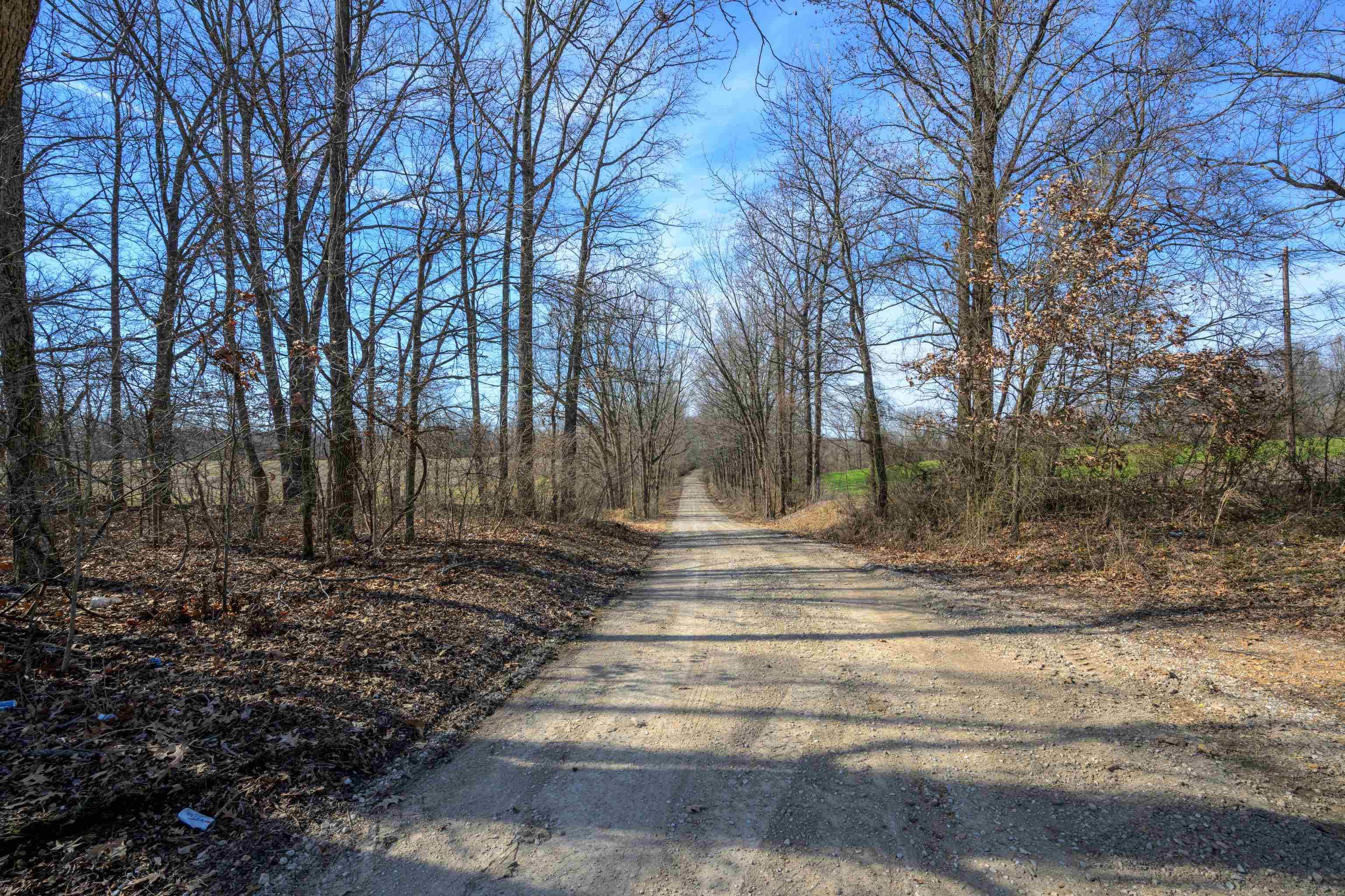 Detroit Road Burlison, TN 38015 - Photo 2 of 17 Gallery Image 2