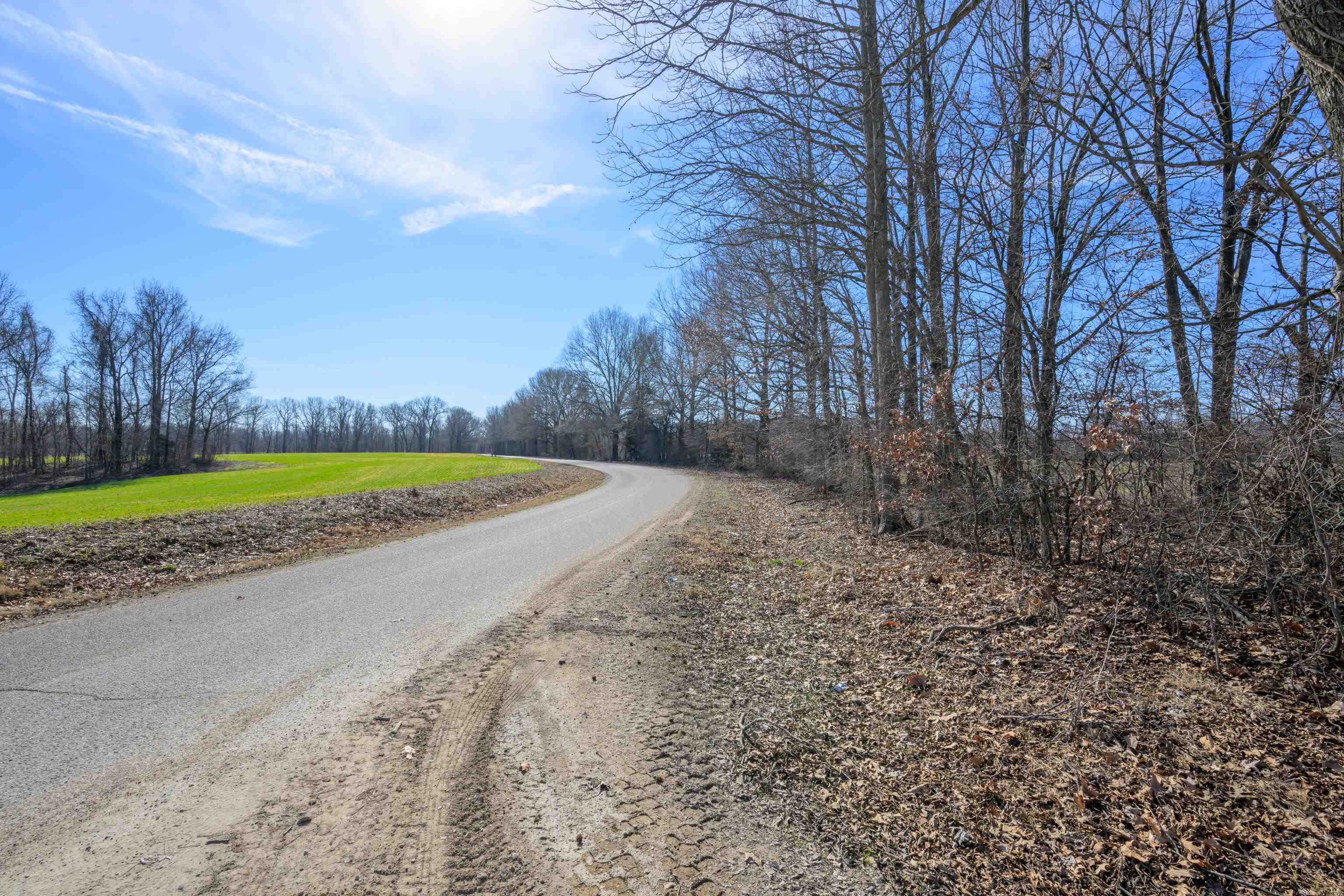 Detroit Road Burlison, TN 38015 - Photo 3 of 17 Gallery Image 3