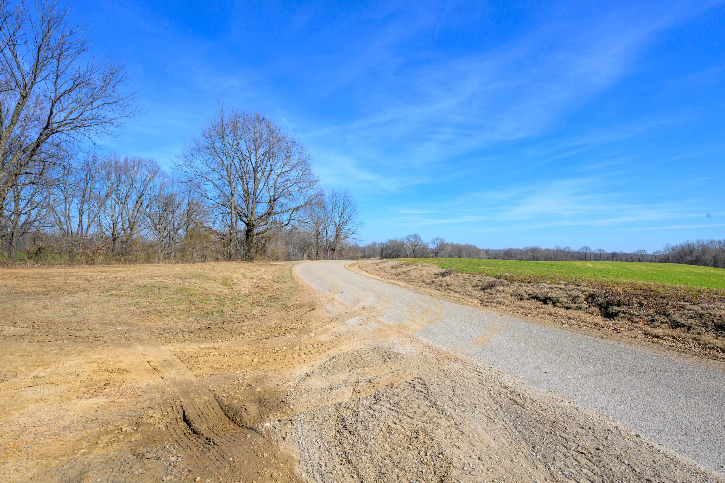 Detroit Road Burlison, TN 38015 - Photo 4 of 17 Gallery Image 4