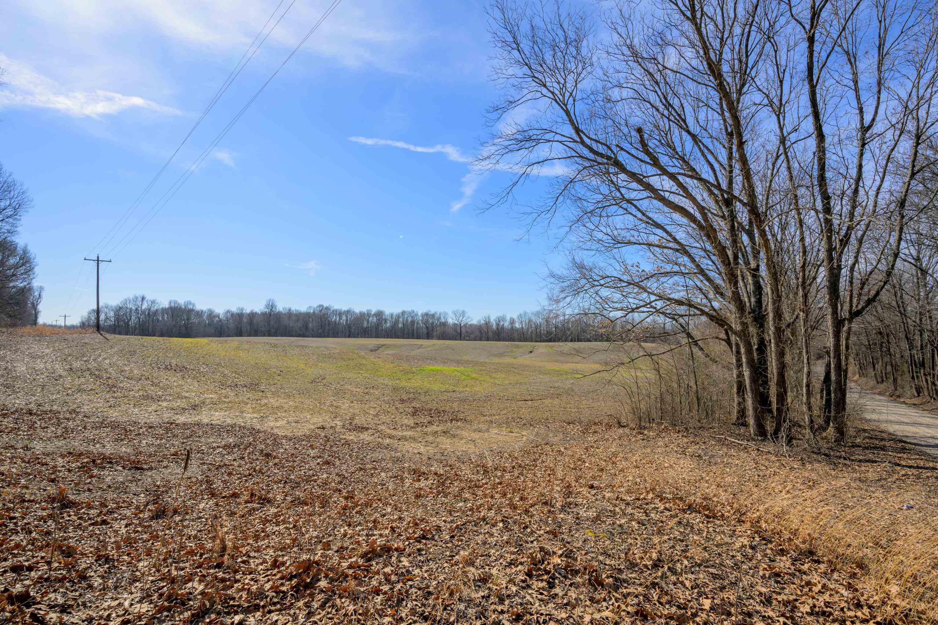 Detroit Road Burlison, TN 38015 - Photo 5 of 17 Gallery Image 5