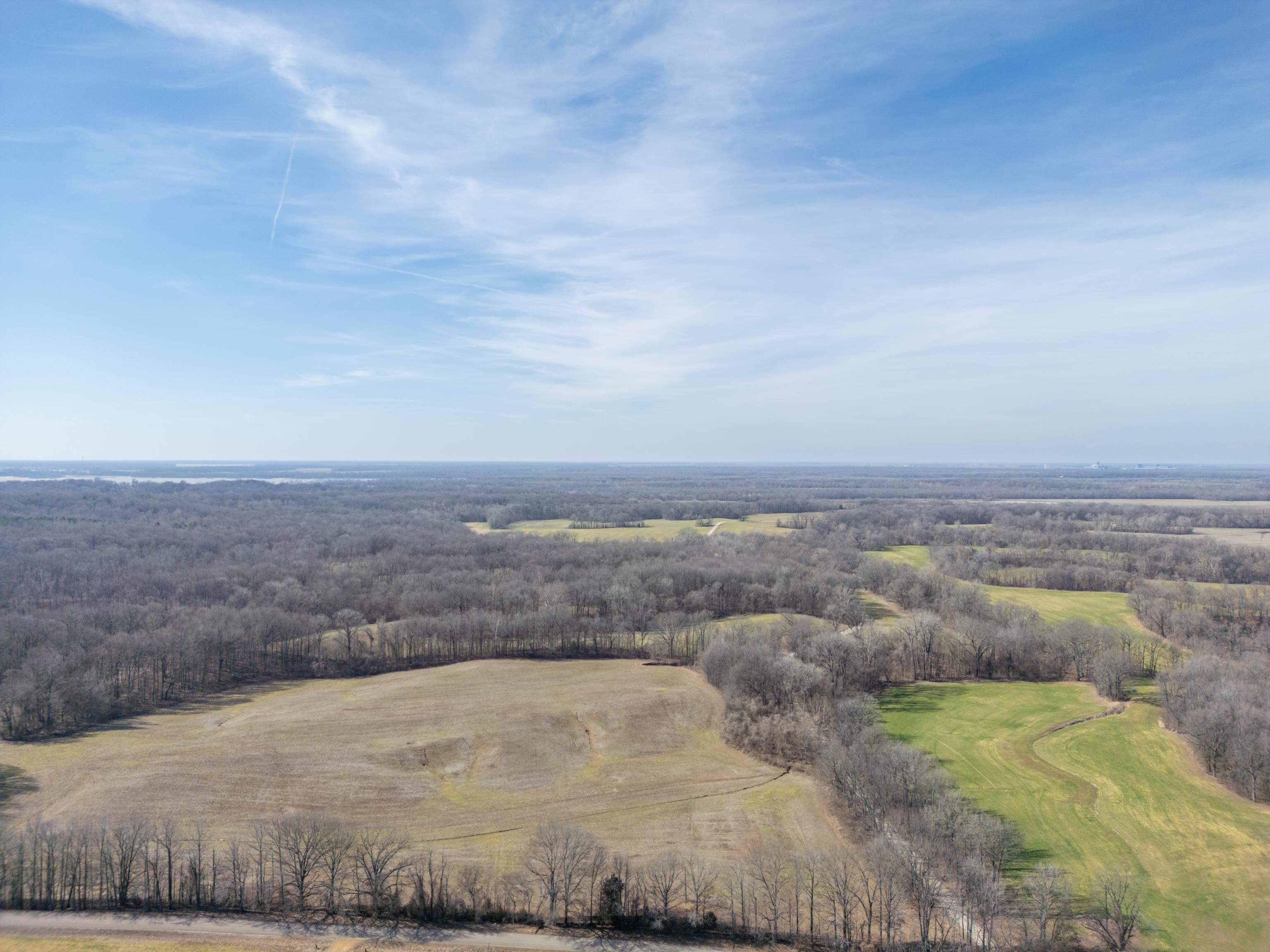 Detroit Road Burlison, TN 38015 - Photo 7 of 17 Gallery Image 7