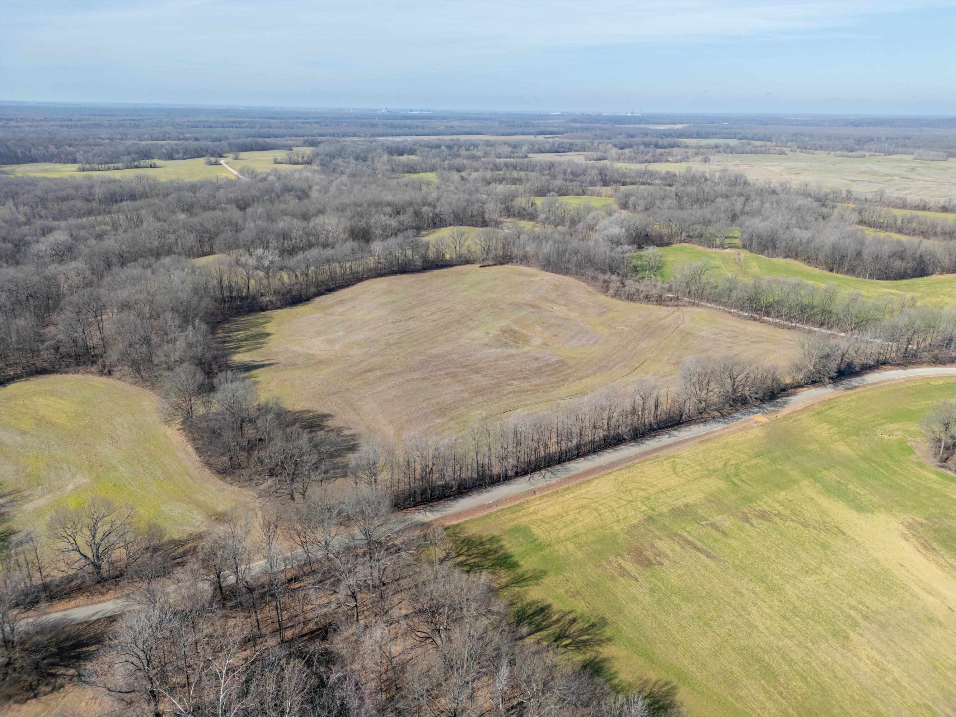 Detroit Road Burlison, TN 38015 - Photo 8 of 17 Gallery Image 8