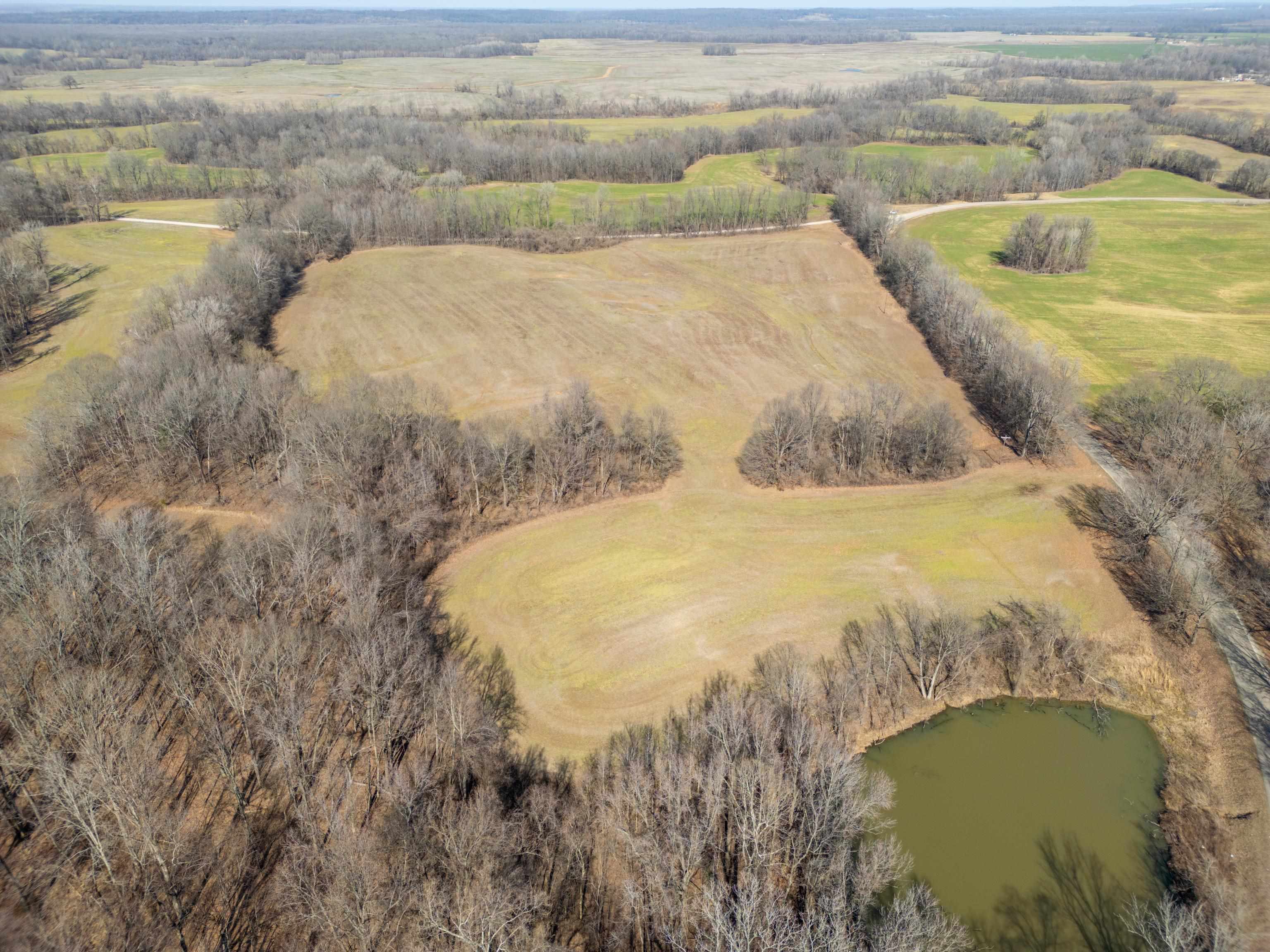 Detroit Road Burlison, TN 38015 - Photo 10 of 17 Gallery Image 10