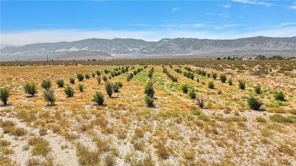 33633 Old Woman Springs Road Lucerne Valley, CA 92356 - Photo 21 of 25