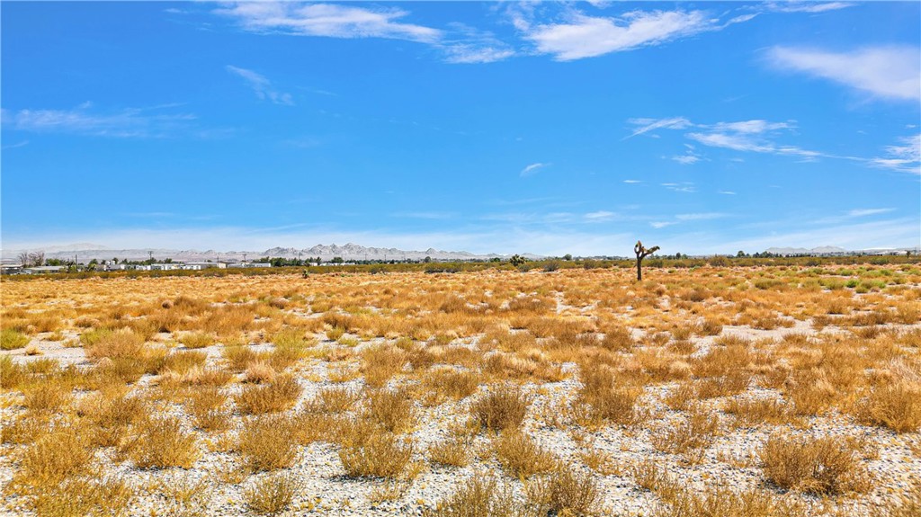 33633 Old Woman Springs Road Lucerne Valley, CA 92356 - Photo 22 of 25