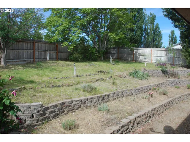 a view of a backyard